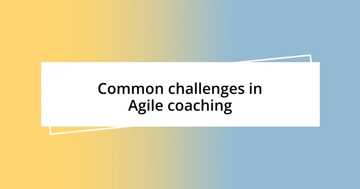 Common challenges in Agile coaching